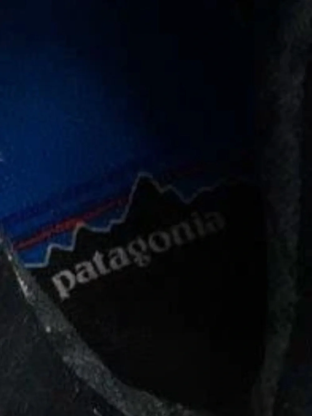 Patagonia 🌟💯in excellent
